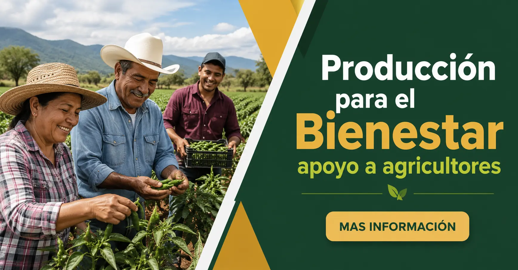 Lee más sobre el artículo Producción para el Bienestar apoyo a agricultores